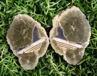 White Rock Thunderegg